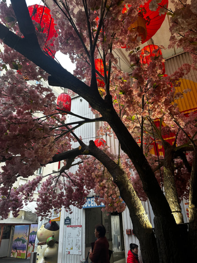 Photographie de sakura dans le quartier chinois a paris